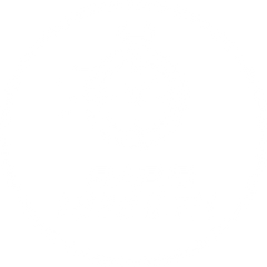 Rapid Results Icon